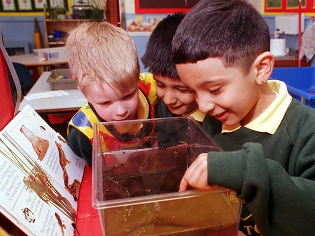 Moortown Primary School pupils Ben Waller, Umar Ilyas and Shivam Handa inspect tadpoles during a lesson in April 1999.