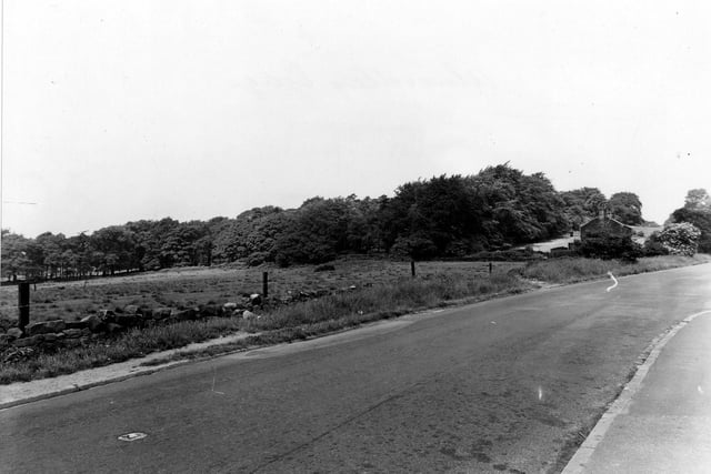 King Lane from the bottom of The Avenue pictured in July 1951, with rough pasture and woods in the Adel Crags area in the background. Adel Crags are sometimes referred to as Alwoodley Crags.