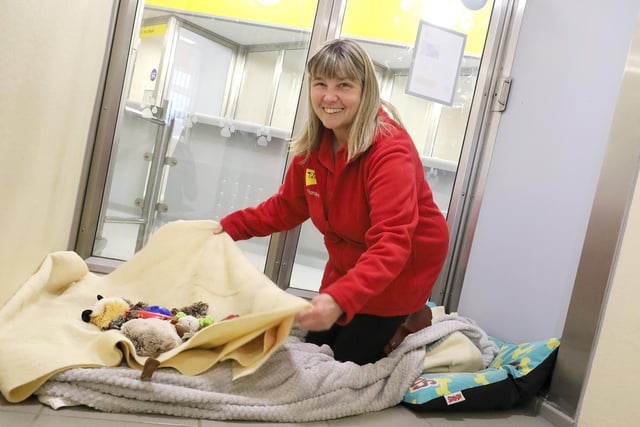 Following the recent building work at the rehoming centre, Dogs Trust Leeds have been able to welcome back some of their amazing volunteers. Here is Sally, one of the centre’s Volunteer Canine Assistants. She helps the team keep the dog’s kennels nice and clean. Although the centre is not currently recruiting new volunteers while they settle the existing ones back in, when applications do open it will be announced on the Dogs Trust Leeds website and social media channels.