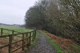 The site is next to Haigh Woods, a beauty spot in West Ardsley.