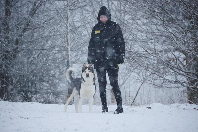Tia, an eight-year-old Husky Cross who was recently handed over to the rehoming centre following a change in her owners circumstances was adopted and ran off to her new home! She joined her handler Jazmin in the snow for one last walkies before she left.
