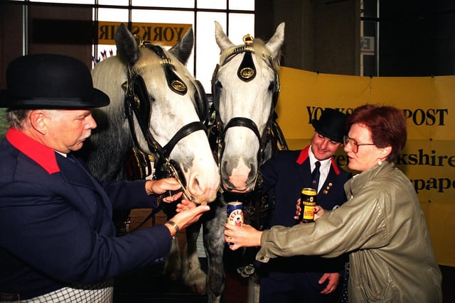 Pictured is Maggie Nicholson from Barnsley giving the Tetley Shire Horses Prince (left) and Charles a drink of beer at the presentation ceremony held at the Yorkshire Post office in August 1998.