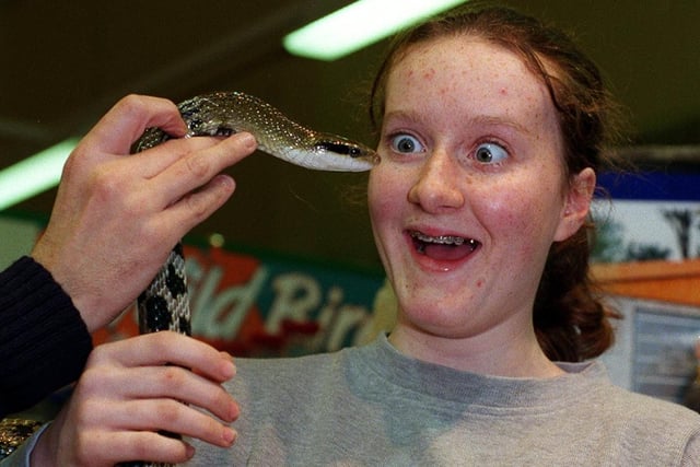 Lucy Armitage came face to face with a Taiwanese beauty snake at the Pets At Home pets superstore at Guiseley Retail Park. The snake was just one of the reptiles from Proteus Reptile Rescue and Sanctuary, who gave a display at the shop.