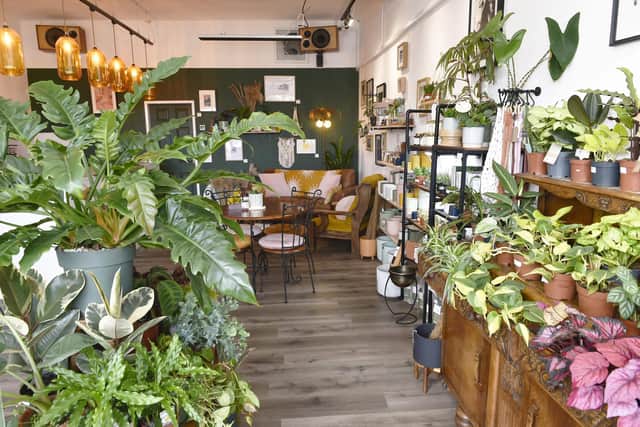 Plant Collection opened in September last year, selling a floor-to-ceiling stock of indoor houseplants (Photo: Steve Riding)