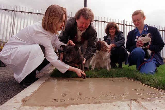 Tess the Staffordshire Bull Terrier puts its paw in concrete to mark the opening of the PDSA Veterinary Centre on York Road. Pictured giving a helping hand is veterinary officer Karen and owner James Butler watched by Lucy the Spaniel with Linda and Scabby the cat with veterinary nurse Julie .