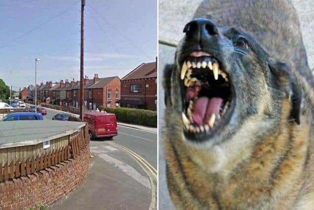 A dog has been attacking people in the South Kirkby area