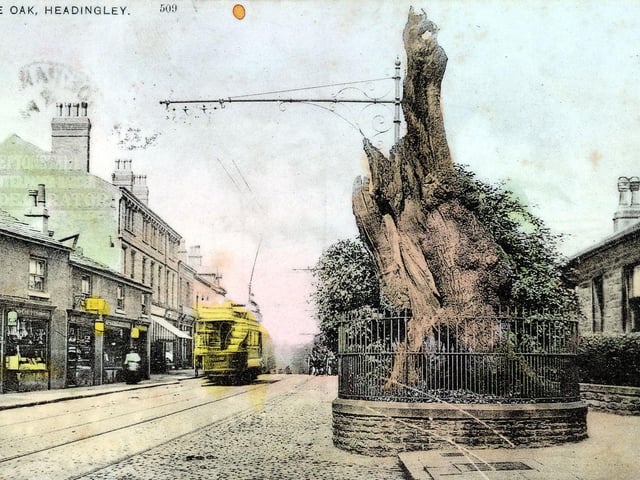 A colour postcard view of Otley Road showing the Shire Oak tree, the focal point of Headingley life for many years, in the centre. Now decaying, the tree has railings around to protect it. A tram can be seen on the road and shops on the left. The postcard has a postmark dated March 31, 1907.