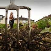 Phil Gomersall, president of the National Allotment Society, pictured on his plot in Rawdon. Image: Simon Hulme