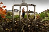 Phil Gomersall, president of the National Allotment Society, pictured on his plot in Rawdon. Image: Simon Hulme