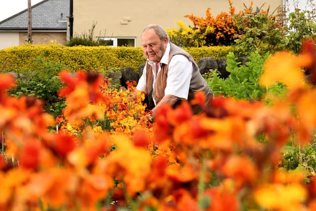 Phil Gomersall, president of the National Allotment Society, pictured on his plot in Rawdon. Image: Simon Hulme