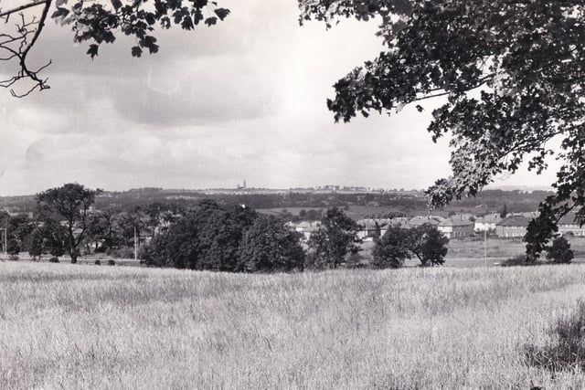The autumn view which greets people walking along the path from Leafield Drive to Stonegate Road. Pictured in September 1971.