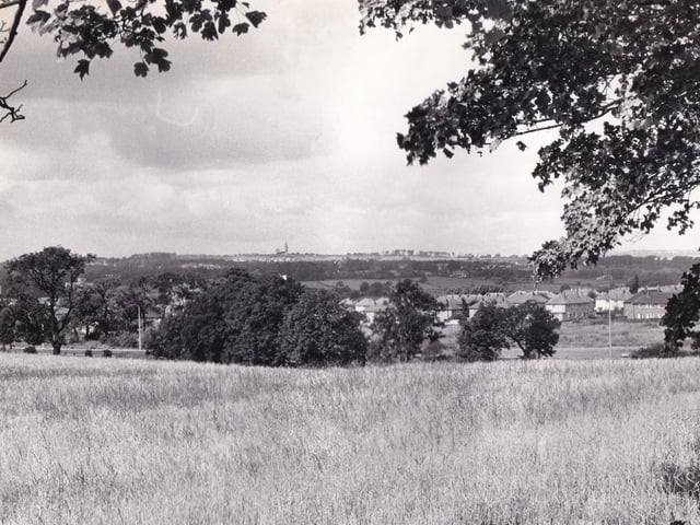 The autumn view which greets people walking along the path from Leafield Drive to Stonegate Road. Pictured in September 1971.