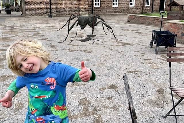 Max, aged 5, hunting for Mega Mini-beasts in Temple Newsam.
