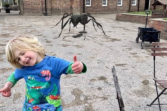 Max, aged 5, hunting for Mega Mini-beasts in Temple Newsam.