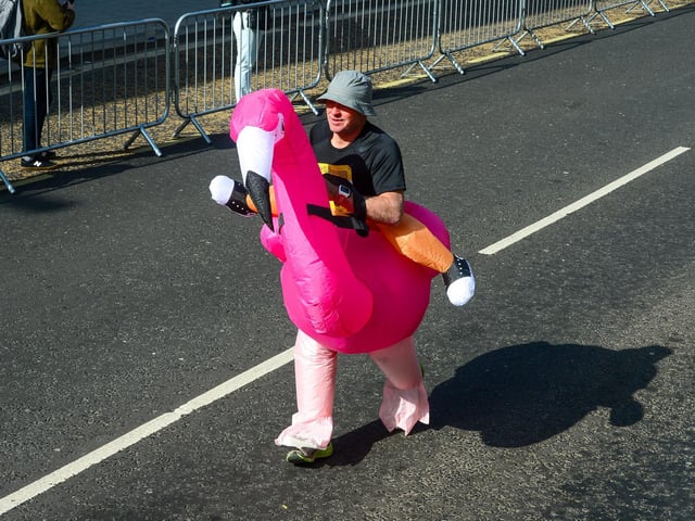 Including this fantastic flamingo!