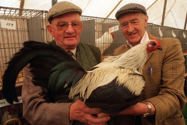 Allan Wills (left) and Richard Lancaster pictured with a Grey Old English game cockerel in May 1996..