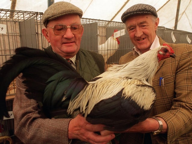 Allan Wills (left) and Richard Lancaster pictured with a Grey Old English game cockerel in May 1996..