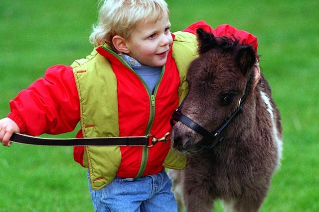 Young Wayne Sandham gives Fiona, a two week old Shetland Pony, a hug at Otley Show in May 1997.