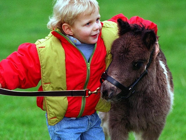 Young Wayne Sandham gives Fiona, a two week old Shetland Pony, a hug at Otley Show in May 1997.