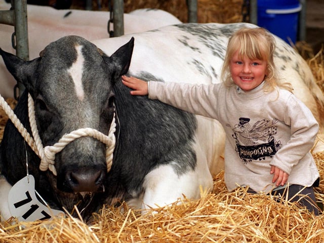 Five-year-old Clare Cropper next to one of her fathers Belgian Blue cattle in May 1997.