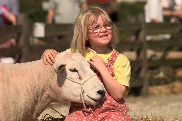 Six-year-old Laura Packer from Keighley, is introduced to Arkle Amazon a Texel sheep in May 1998.