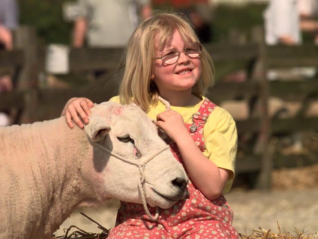 Six-year-old Laura Packer from Keighley, is introduced to Arkle Amazon a Texel sheep in May 1998.
