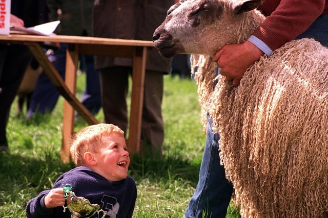 Young Ben Buchingham holds the trophy won by his grandfather David Newbould of Stubbings Farm, Dallowgill, near Ripon, with his Teeswater Tup Hogg at Otley Show in May 1999. The sheep won the trophy for best sheep in its breed at the show.