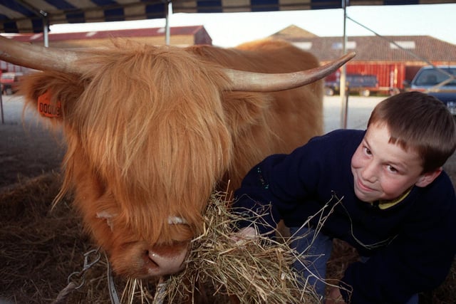 Teenager Craig Stringwell from Otley makes friends with a Highland cow in May 1999.