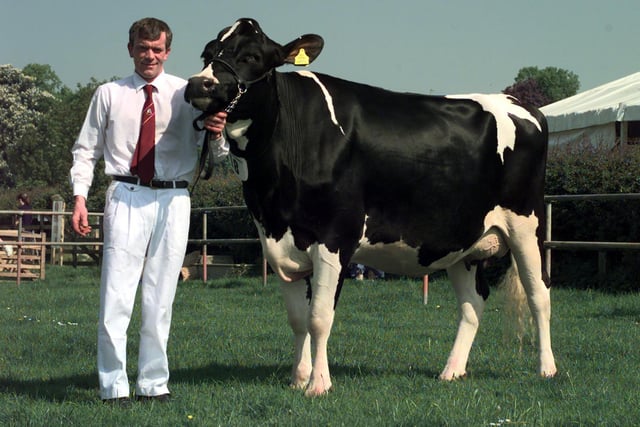 Neil Rennison, from Yeadon, with his class winning Holstien cow called Helling Sweet Fury at Otley Show in May 1998.