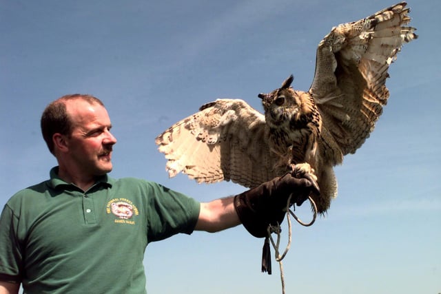 James McKay, from Derbyshire, with a Eurasian Eagle Owl at Otley Show in May 1998.