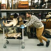 Assistant curator Milo Phillips works on a hippo skull at Leeds Discovery Centre. Picture: Jonathan Gawthorpe