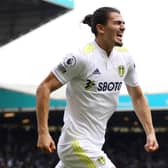 Pascal Struijk celebrates equalising for Leeds United against Brighton and Hove Albion. Pic: George Wood.