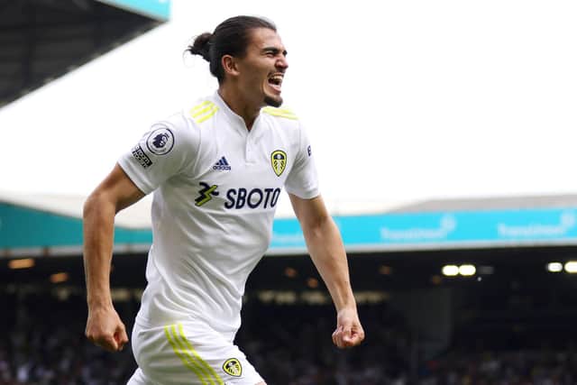 Pascal Struijk celebrates equalising for Leeds United against Brighton and Hove Albion. Pic: George Wood.
