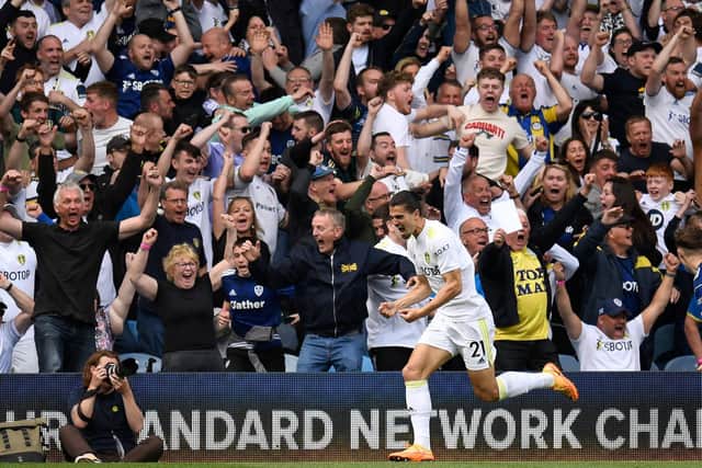 MAYHEM: Pascal Struijk celebrates his 92nd-minute equaliser.
Photo by OLI SCARFF/AFP via Getty Images.