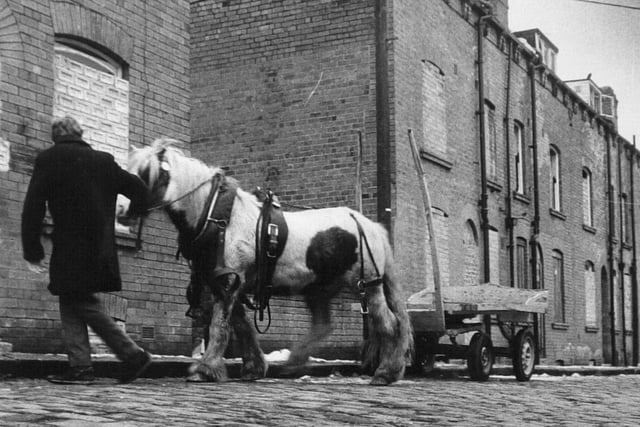 A rag and bone man on a cobbled street near St. James's Hospital pictured in February 1986.
