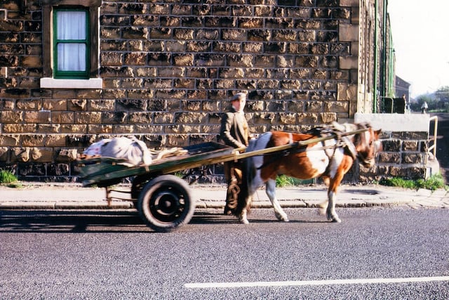 A rag and bone man with his horse and cart on Asquith Avenue in Morley in October 1965. PIC: David Atkinson Archive