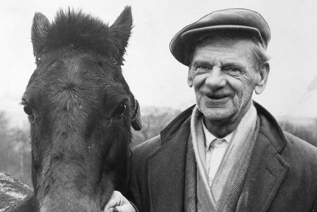 Rag and bone man Arthur Broadhead with his faithful workmate 'Grade One' pictured in December 1964.