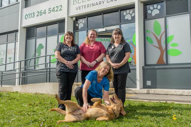 Members of the Beechwood Vets team. Back row, left to right, practice manager Kelly Mann, deputy head nurse Kerry Nicholson, head receptionist Andrea Gaunt and, front, clinical director Louise Mallinson with Freddie the Labrador.
