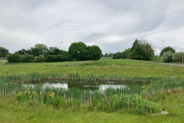 A balancing pond at the site.