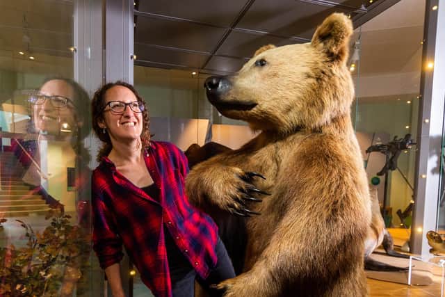 Curator Rebecca Machin with the grizzly bear that forms part of the collection. Picture: James Hardisty