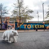Leeds Hospitals Charity has officially announced the launch of Leeds Bear Hunt.