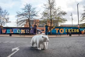 Leeds Hospitals Charity has officially announced the launch of Leeds Bear Hunt.