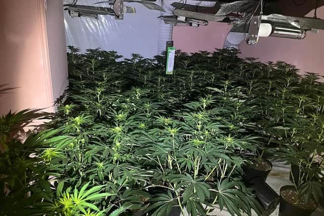 Inside the cannabis farm found at the property near Wakefield city centre.