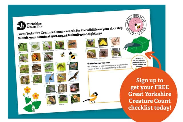 From noon Saturday June 18 until noon Sunday June 19, Yorkshire Wildlife Trust is asking Yorkshire folk to spot, count and record the creatures in their outdoor spaces