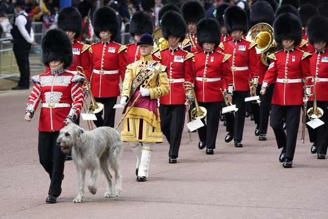 An Irish wolfhound leads as Guards march along The Mall ahead of the Trooping the Colour ceremony.
