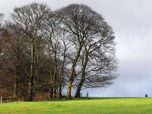 An ideal short walk for those limited on time, or during a lunch break from work, this two-mile circular route around Rawdon Billing offers everything. Varied terrain, wide open spaces and exposure to the elements means this walk is far from straightforward, but remains a popular route for many.