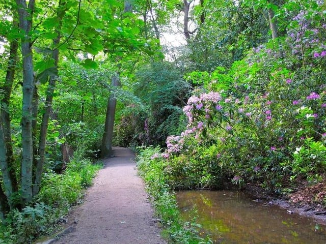 The Meanwood Valley Trail is seven mile linear walk runs from Woodhouse Moor, along the Meanwood Valley through to Breary Marsh, next to Golden Acre Park. Meandering through pretty woodland along a relatively flat route, it is fit for all abilities.