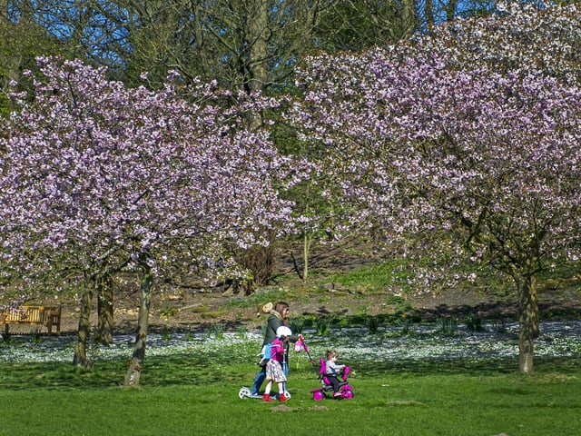 Sitting on the route of both the Leeds Country Way and the Meanwood Valley Trail, Golden Acre Park attracts plenty of walkers, and is known for its picturesque gardens and circular lakeside walk.