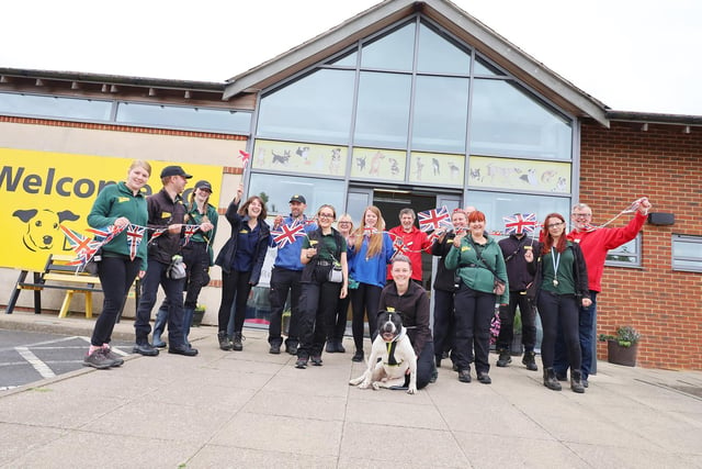 Staff at Dogs Trust Leeds have been working through the bank holiday weekend but they made sure the dogs had lots of Jubilee fun!