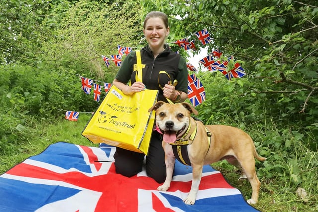 We’re over the moon to report that lovely Anna, an  eight year old Staffordshire Bull Terrier, spent the Jubilee with her new family in her forever home! She left the rehoming centre to start her new chapter and we wish all the best for her new life.
